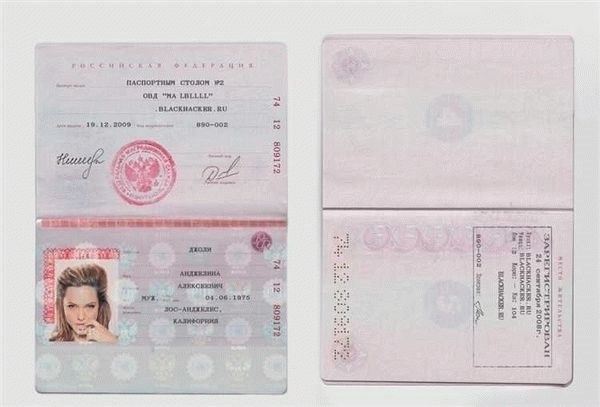 Что входит в паспортные данные и как их понять
