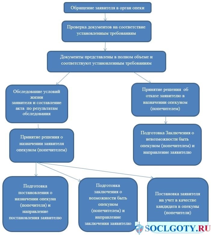 Какой документ нужен для оформления опеки