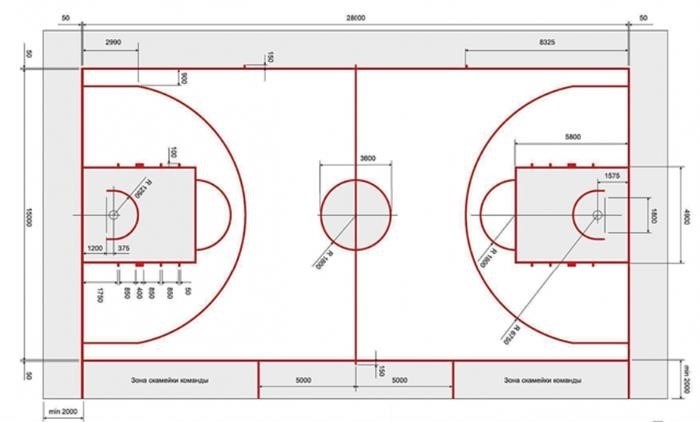 Отличия правил размеров и разметки площадки в НБА и ФИБА