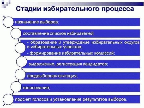 Выдвижение кандидатов на выборы в России: шаги и правила