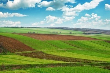 Категория земель сельскохозяйственного назначения: важные аспекты