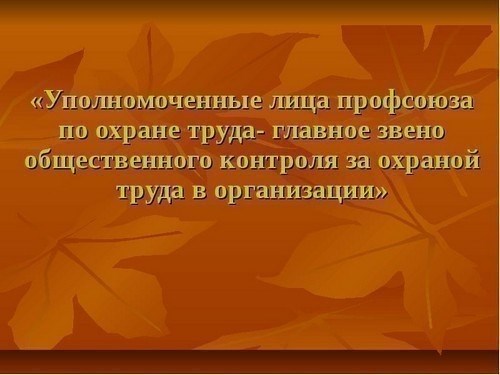 Роль и обязанности уполномоченного по охране труда в организации