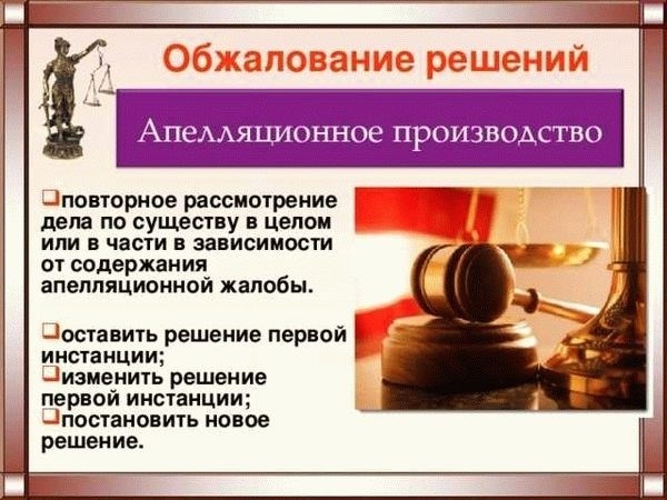 Апелляционные признаки и их основные характеристики