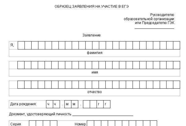 Законность и правоприменение: неотъемлемые экзамены для будущего юриста