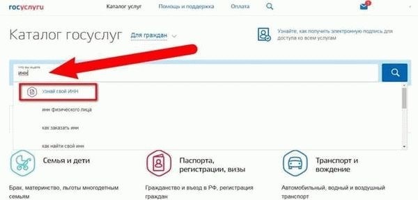 Что такое ИНН и зачем нужно знать ИНН ребенка