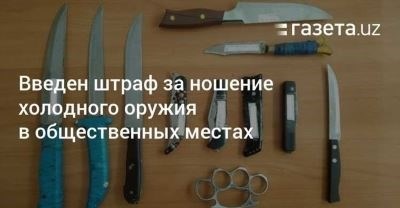 Ответственность за незаконное хранение, сбыт и ношение холодного оружия в РФ