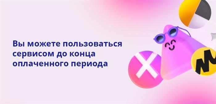 Вы можете воспользоваться услугой до окончания периода оплаты