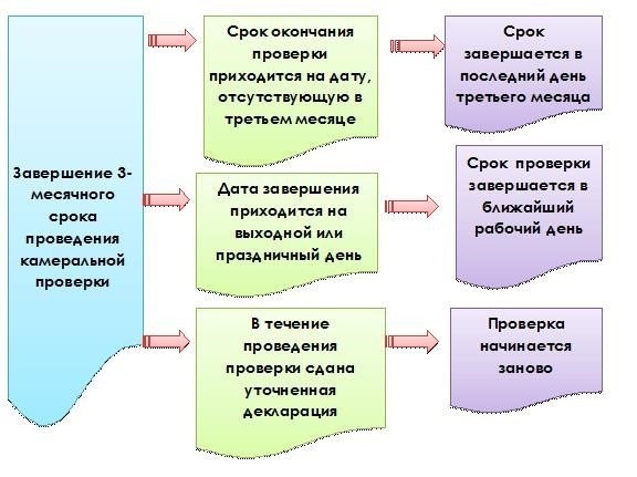 Сколько длится камеральная налоговая проверка?