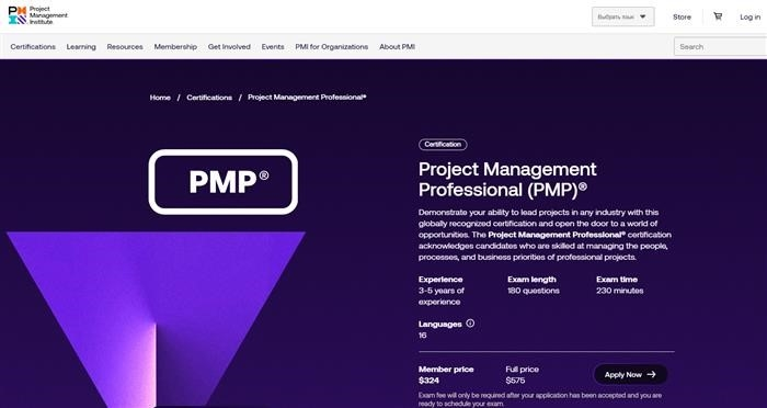 Специалисты по управлению проектами (PMP)