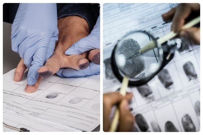 Как собрать отпечатки пальцев?