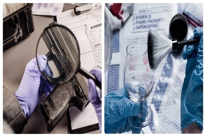 Отпечатки пальцев могут храниться десятилетиями