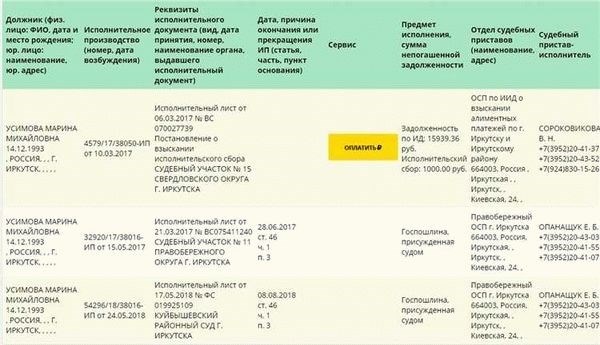 Подробная инструкция о том, как избавиться от задолженности перед судебным приставом-исполнителем