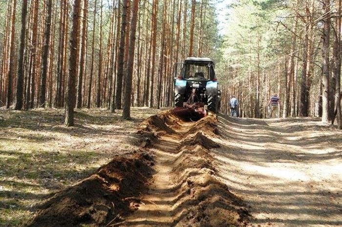 Профилактика заболеваний и укрепление здоровья