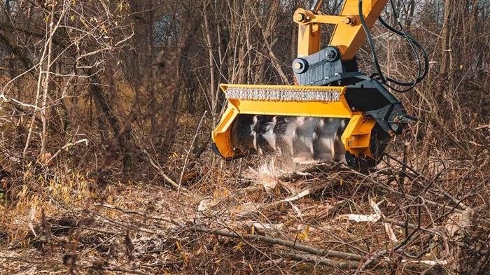 Экологическая безопасность и восстановление природных ресурсов