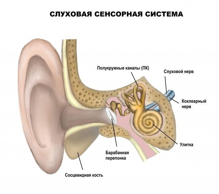 Слухопротезирование