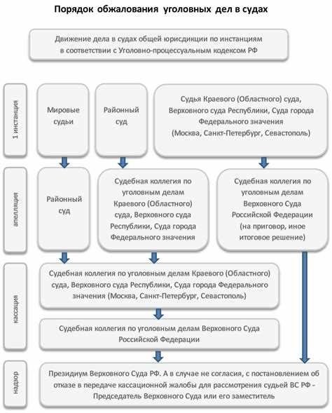 Этапы подачи апелляционной жалобы в процессе обжалования приговора по уголовному делу