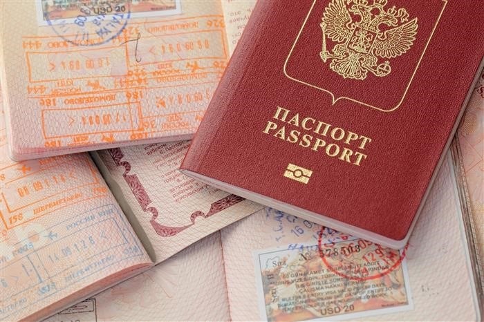 Проверка готовности заграничного паспорта по регистрационному номеру заявления