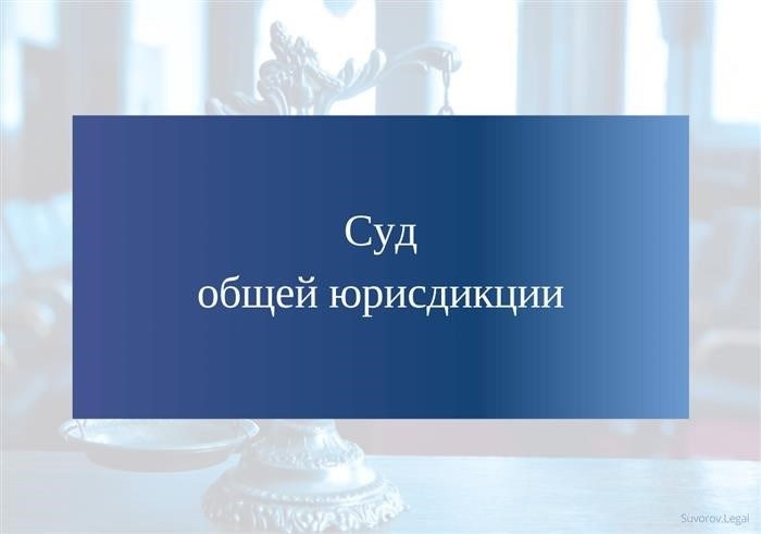 Суды общей юрисдикции