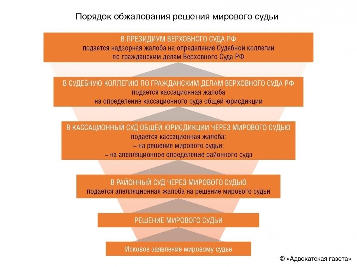 Роль и функции отдела судебной поддержки в гражданских делах