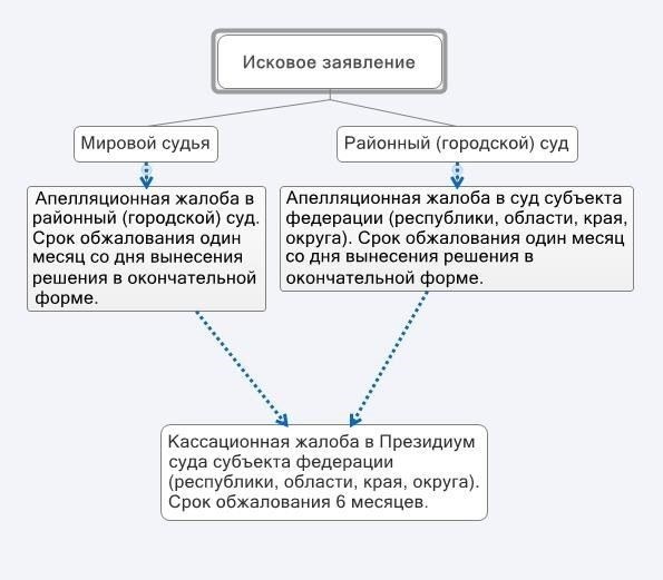 Что должно быть включено в апелляционную жалобу?