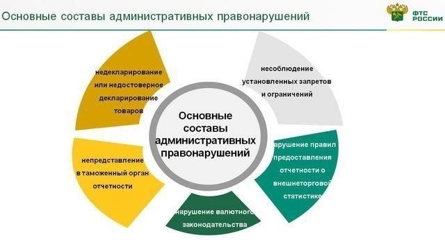 Что считается непредставлением отчетности таможенным органам?