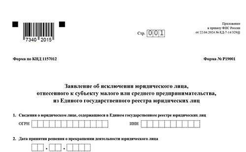Форма Р19001: основные сведения для подачи 2025 года на сайте FNS
