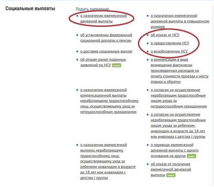 Как подать заявление на получение ежемесячной помощи