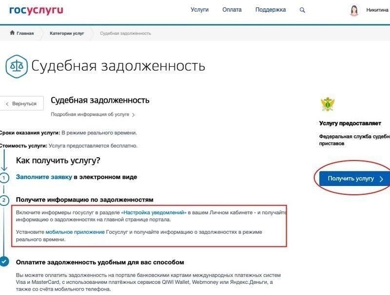 Как проверить состояние своих долгов с помощью государственных сайтов