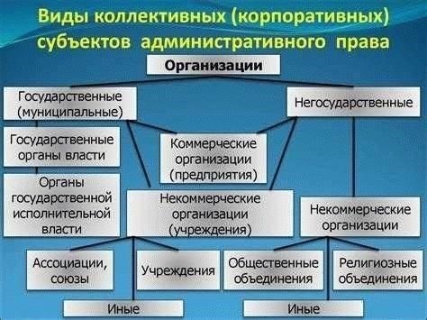 Классификация субъектов в делах об административных правонарушениях