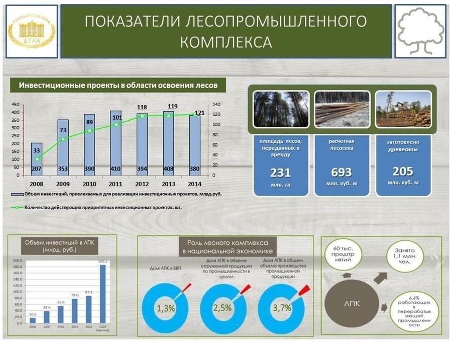 Понимание масштабов освоения лесных территорий в соответствии с нормативно-правовой базой