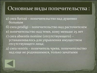 Понимание роли законного опекунства в обеспечении благополучия ребенка