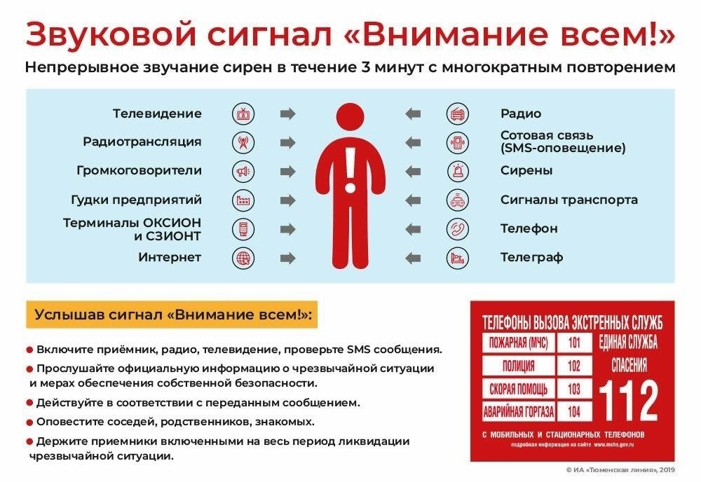 Понимание SFH: что нужно знать перед подачей жалобы
