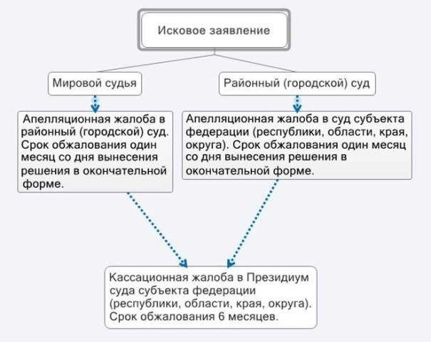Процесс подачи жалобы в мировой суд