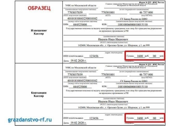 Расходы: Плата за разрешение на временное пребывание