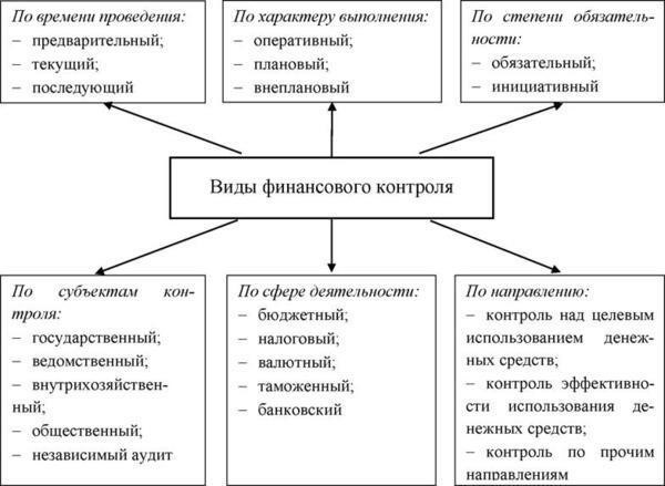 Тематические исследования: Реальные примеры государственных финансовых проверок в России